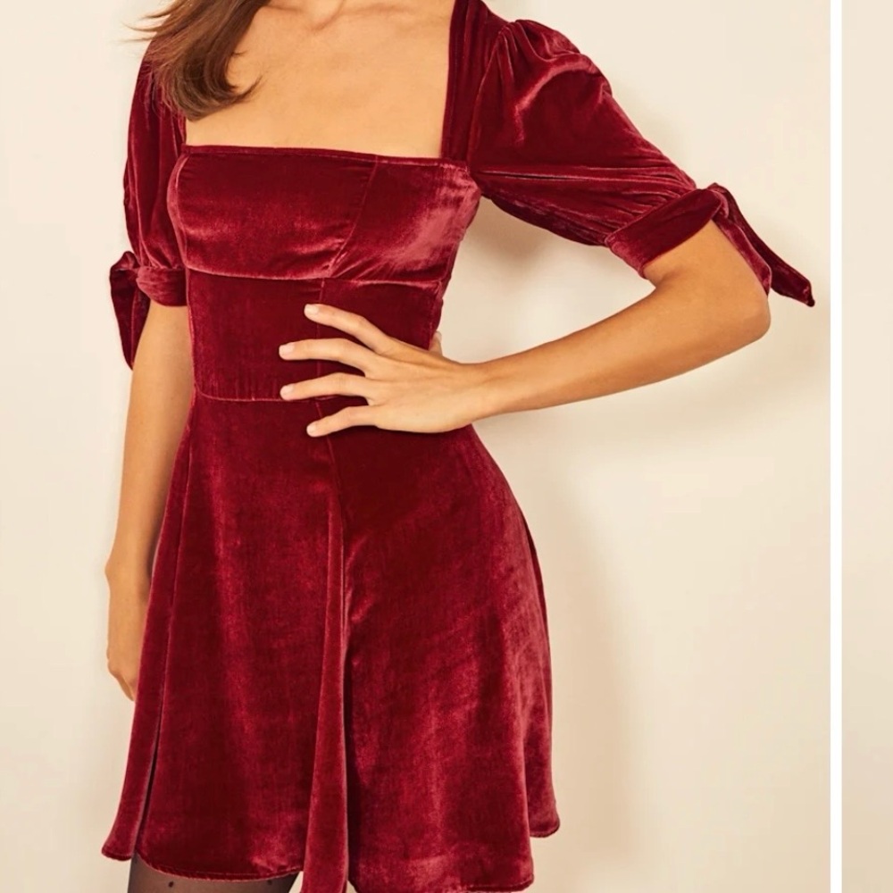 NWOT Reformation Cambrie Velvet Dress